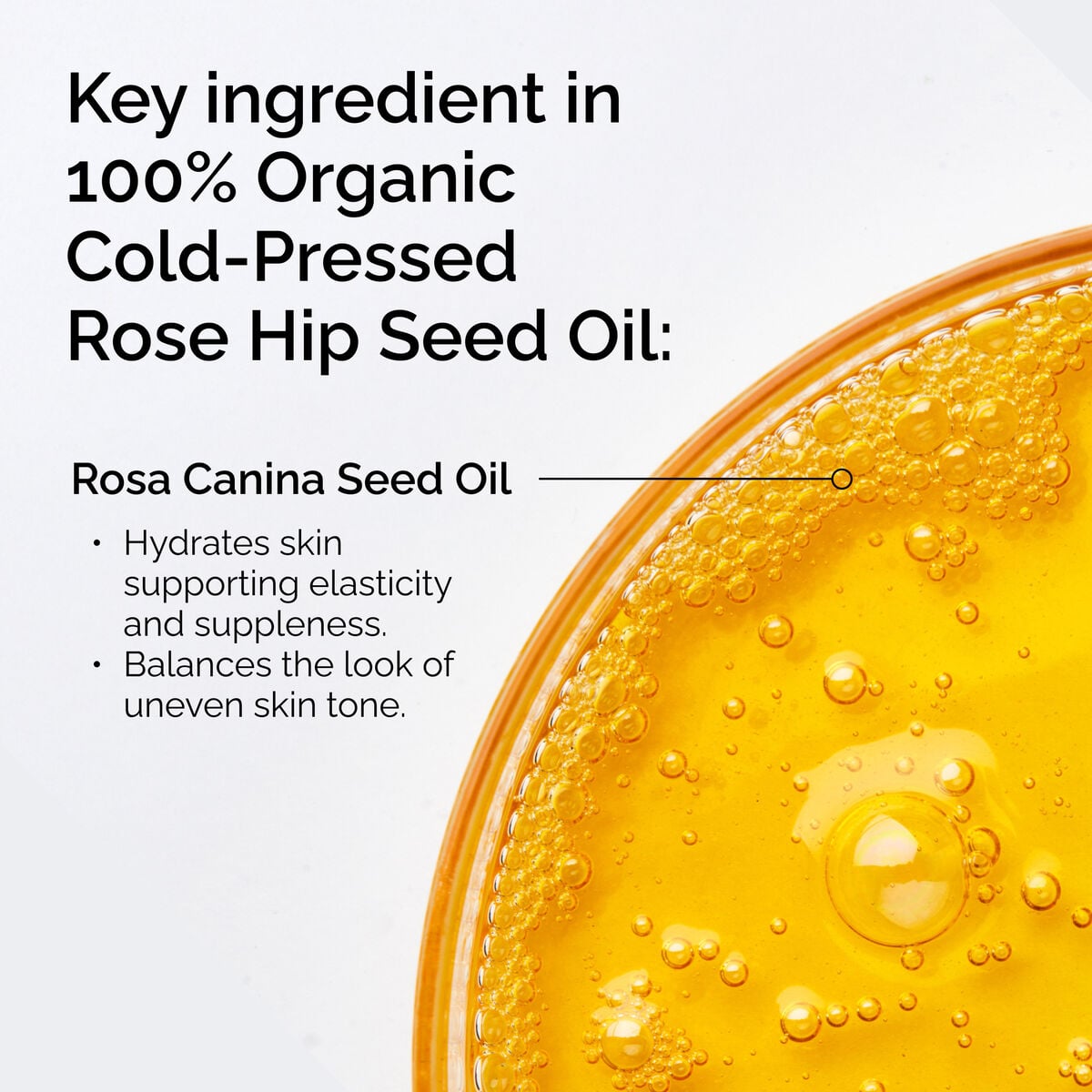 100-organic-cold-pressed-rose-hip-seed-oil-m3 FY25-D41247-ORD-Web-PDP-100-Rose-Hip-Oil-1x1-EN-2.jpg