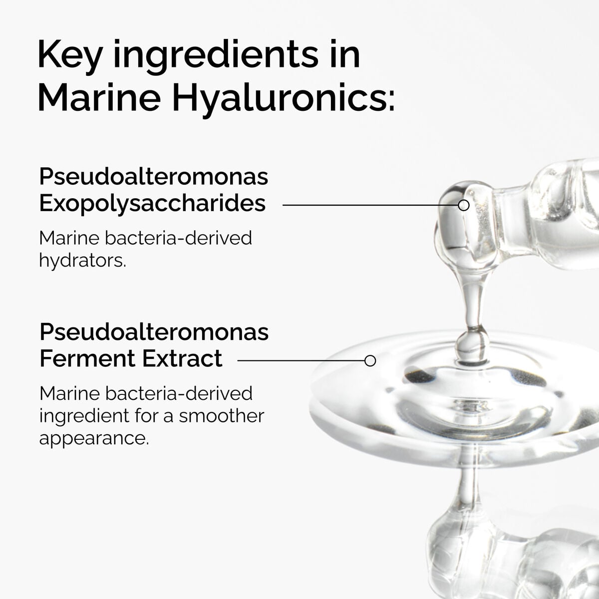marine-hyaluronics-z0 FY25-D41247-ORD-Web-PDP-Marine-Hya-1x1-EN-2a.jpg