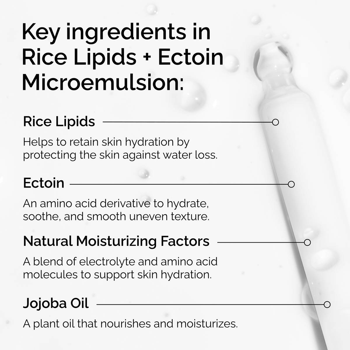 rice-lipids-ectoin-microemulsion-y7 ord-rice-lipids-ectoin-microemulsion-key-ingredients.png