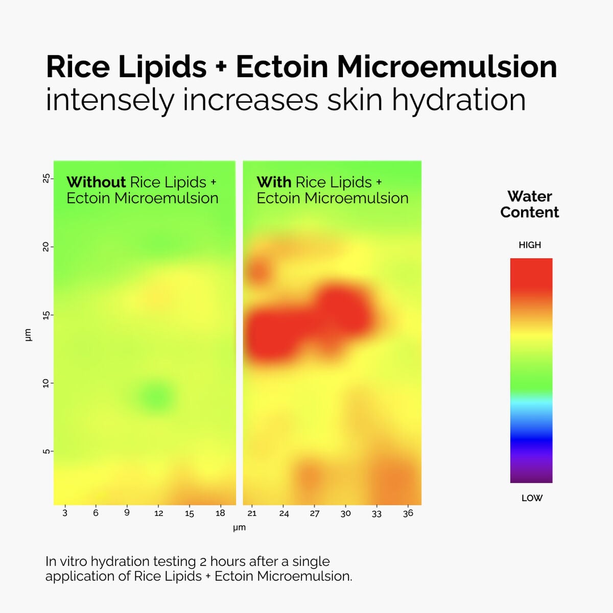 rice-lipids-ectoin-microemulsion-y7 ord-rice-lipids-ectoin-microemulsion-thermal-before-after.jpg